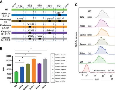 Decreased and Heterogeneous Neutralizing Antibody Responses Against RBD of SARS-CoV-2 Variants After mRNA Vaccination